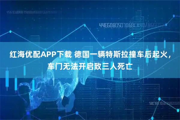 红海优配APP下载 德国一辆特斯拉撞车后起火，车门无法开启致三人死亡